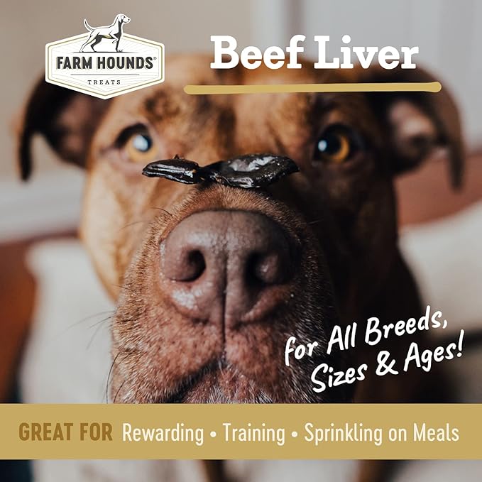 Farm Hounds Beef Liver Jerky Treats for Dogs, Premium Dried Dog Treats, High Protein Training Treat for Small & Large Dogs, Natural & Healthy Dog Treats, Made in USA, Beef Liver 4oz