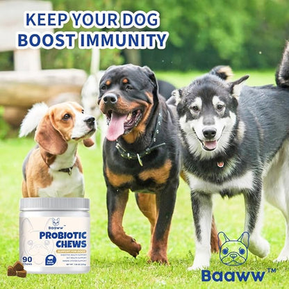 Probiotics for Dogs, Support Gut Health, Diarrhea, Seasonal Allergies, Paw Licking, Digestive Health Enzymes, 90 Pork Chews Allergy & Immune Supplement for Dogs Anal Gland Soft Chew Treats