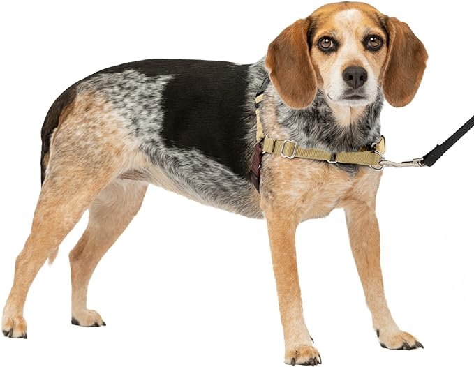 PetSafe Easy Walk No-Pull Dog Harness - The Ultimate Harness to Help Stop Pulling - Take Control & Teach Better Leash Manners - Helps Prevent Pets Pulling on Walks - Small/Medium, Fawn/Brown