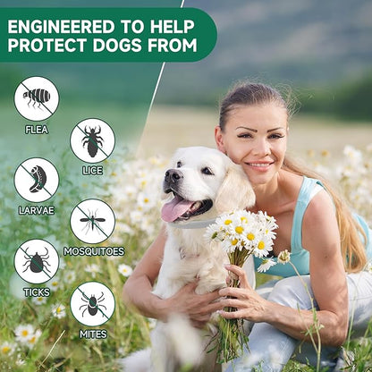 4 Pack Flea Collar for Dogs, Dog Flea and Tick Treatment, 8 Months Protection Flea and Tick Collar for Dogs, Waterproof Dog Flea Collar, Adjustable Collar Flea and Tick Prevention for Dogs