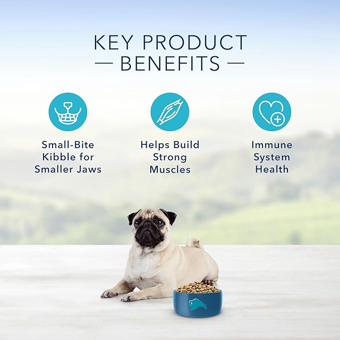 Blue Buffalo Life Protection Formula Natural Adult Small Bite Dry Dog Food, Chicken and Brown Rice 15-lb