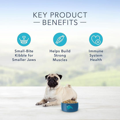 Blue Buffalo Life Protection Formula Natural Adult Small Bite Dry Dog Food, Chicken and Brown Rice 15-lb