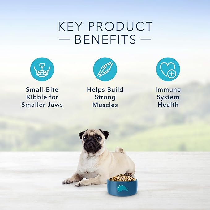 Blue Buffalo Life Protection Formula Natural Adult Small Bite Dry Dog Food, Chicken and Brown Rice 34-lb