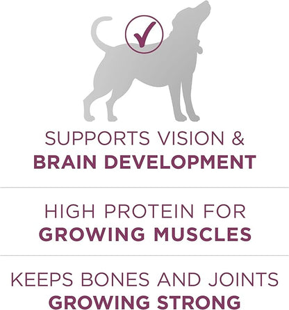 Purina ONE Plus Healthy Puppy Formula High Protein Natural Dry Puppy Food with added vitamins, minerals and nutrients - (Pack of 4) 4 lb. Bags