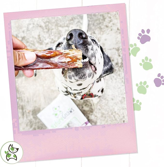 Nature Gnaws - Beef Jerky Chews for Large Dogs - Premium Natural Beef Gullet Sticks - Simple Single Ingredient Tasty Dog Chew Treats - Rawhide Free 9-10 Inch