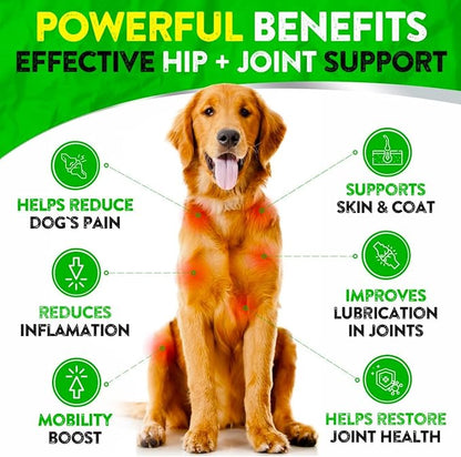 Hemp Hip and Joint Supplement for Dogs - Glucosamine for Dogs - 170 Dog Joint Pain Relief Treats - Chondroitin, Hemp Oil, MSM - Mobility & Flexibility Support - Advanced Joint Health - Made in USA