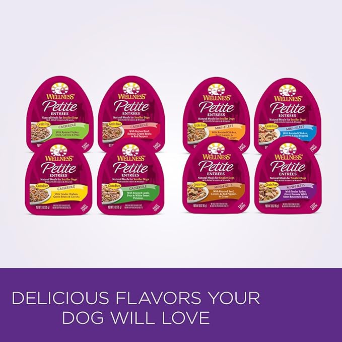 Wellness Petite Entrees Casserole Natural Grain Free Wet Small Breed Dog Food, Tender Chicken, 3-Ounce Cup