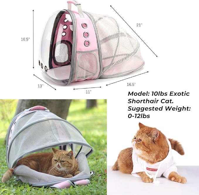 LOLLIMEOW Pet Carrier Backpack, Bubble Backpack Carrier, Cats and Puppies,Airline-Approved, Designed for Travel, Hiking, Walking & Outdoor Use (Back Expandable-Pink)