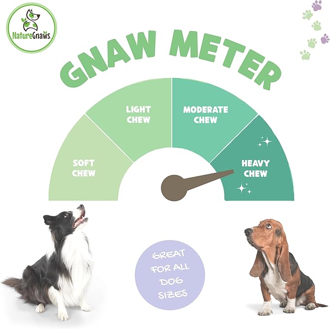 Nature Gnaws USA Beef Tendons for Dogs – Single Ingredient Natural Dental Chews - Long Lasting and Rawhide Free Dog Treats, 8.00 Ounce (Pack of 1)