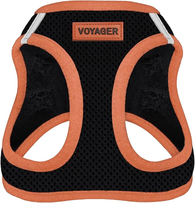 Voyager Step-in Air Dog Harness - All Weather Mesh Step in Vest Harness for Small and Medium Dogs by Best Pet Supplies - Orange Trim, M