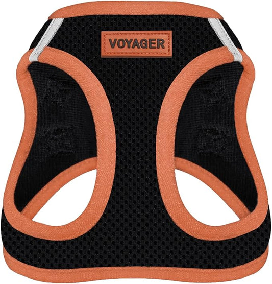 Voyager Step-in Air Dog Harness - All Weather Mesh Step in Vest Harness for Small and Medium Dogs by Best Pet Supplies - Orange Trim, M