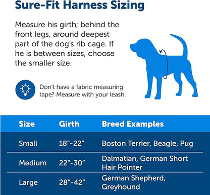 PetSafe Sure-Fit Harness – Five Point Adjustable Dog Harness – from The Makers of The Easy Walk Harness – Medium, Black