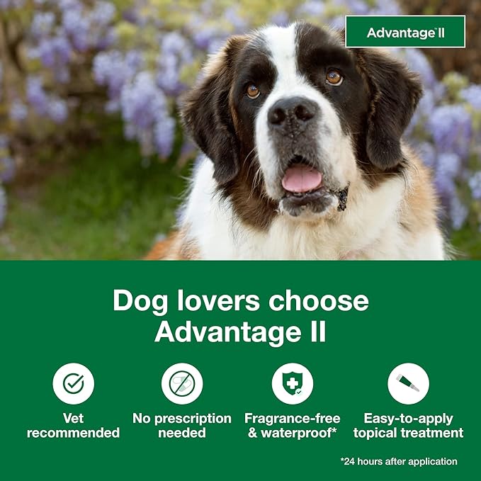 Advantage II XL Dog Vet-Recommended Flea Treatment & Prevention | Dogs Over 55 lbs. | 4-Month Supply