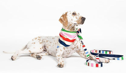 Kate Spade New York Heavy Duty Leash for Female or Male Dogs, Cute Pet Leash with Gold Metal Hardware, Long Dog Lead for Small Medium Large Breeds (Large, Adventure Stripe)