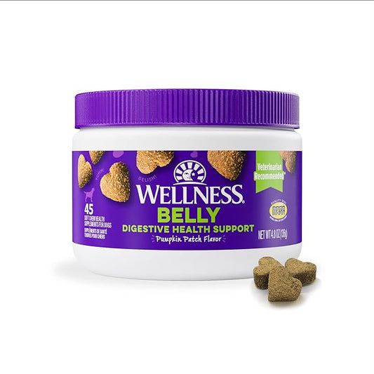 Wellness Pumpkin Patch Flavored Soft Chew Digestive Health Supplements for Dogs, 45 count