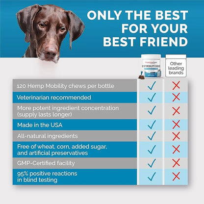 Premium Care Glucosamine Chews for Dogs with Hemp - Hip and Joint Health Supplement for Mobility Support - Dog Glucosamine Chews with Hemp for Dogs- 120 Hemp Treats