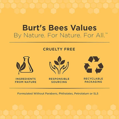 Burt's Bees for Pets Puppy Wipes - Puppy & Dog Wipes for Cleaning and Grooming - Tearless Solution - Cruelty Free, Formulated without Sulfates and Parabens, pH Balanced for Dogs - 50 Count - 6 Pack