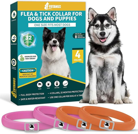 4 Pack Flea Collar for Dogs, Dog Flea and Tick Collar 8 Months Flea and Tick Treatment Prevention for Dogs, Waterproof Adjustable Dog Flea Collar Natural Tick and Flea Collar for Dogs (Oragne&Pink)