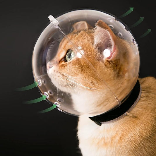 Cat Muzzle Cat Bubble Cat Helmet L Size, 𝑷𝒓𝒆𝒗𝒆𝒏𝒕 𝑩𝒊𝒕𝒊𝒏𝒈 Breathable Cat Hood, Adjustable Kitten Astronaut Helmet Prevent from Cats Biting, Cat Ball Mask for Aggressive Cat (Size L)