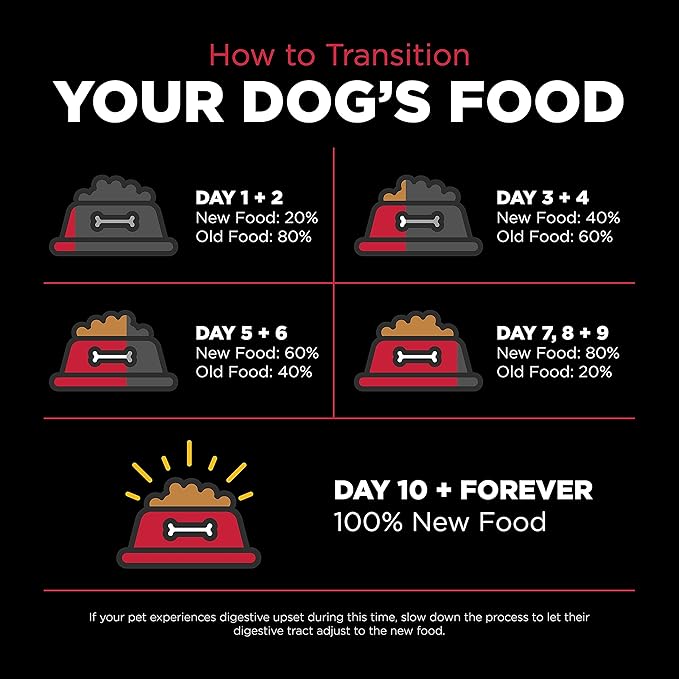 GO! SOLUTIONS Skin + Coat Care - Dry Dog Food, 12 lb - Lamb Recipe with Grains for All Life Stages - Complete + Balanced Nutrition for Dogs