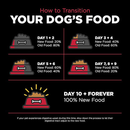 GO! SOLUTIONS Skin + Coat Care - Dry Dog Food, 12 lb - Lamb Recipe with Grains for All Life Stages - Complete + Balanced Nutrition for Dogs