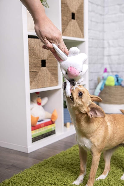 goDog Big Nose Bunny Squeaky Plush Dog Toy, Chew Guard Technology - White, Small
