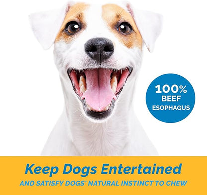 Esophagus Dog Treats - Large Gullet sticks for dogs (12 Inches - 20 Count) 100% Natural beef jerky for Medium to Large Dogs