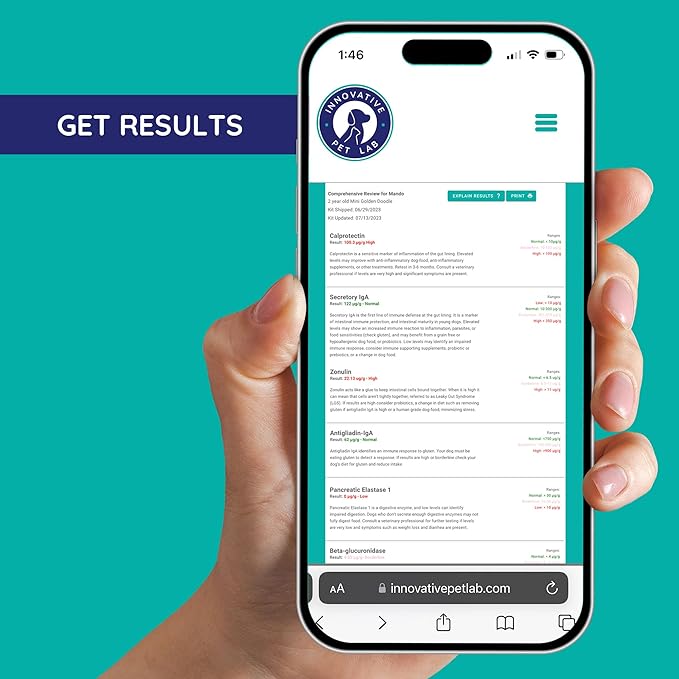 Basic Gut Check - at-Home Gut Microbiome Health Test for Cats and Dogs - Complete Digestive Health Analysis- Easy Process & Digital Results