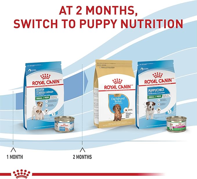 Royal Canin Size Health Nutrition Small Starter Mother & Babydog Dry Dog Food, 2.5 lb Bag