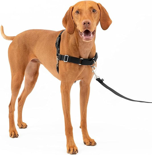 PetSafe Easy Walk No-Pull Dog Harness - The Ultimate Harness to Help Stop Pulling - Take Control & Teach Better Leash Manners - Helps Prevent Pets Pulling on Walks, Medium, Black