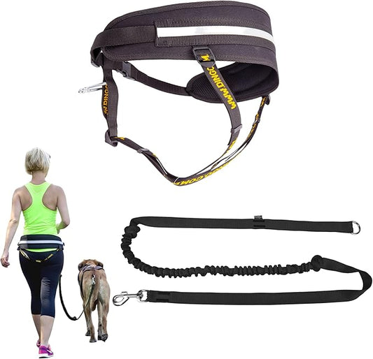 Dingo hands free leash belt for dog walking running hiking, training leash for large dog, bungee leash for medium dog, comfortable adjustable belt for walking with small dog, handle with o-ring Z30004