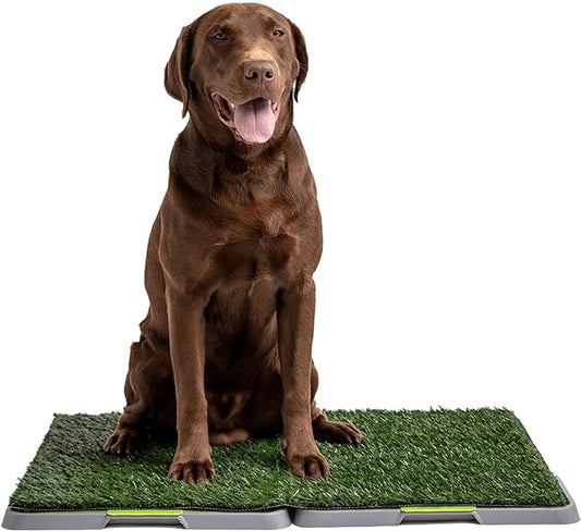 Silver Paw 3-Layer Washable Pee Pads for Dogs - Dog Grass Pad with Tray | Indoor Dog Potty for Small Dogs | Bathroom Tray for Pets | Dog Training Accessories - Large (34" x 27")