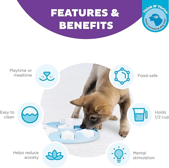 Outward Hound Nina Ottosson Puppy Smart Dog Puzzle Interactive Treat Puzzle Dog Enrichment Dog Toy for Puppies, Level 1 Beginner, Blue