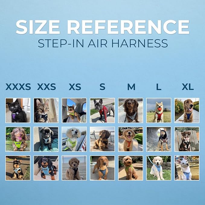 Voyager Step-in Air All Weather Mesh Harness and Reflective Dog 5 ft Leash Combo with Neoprene Handle, for Small, Medium and Large Breed Puppies by Best Pet Supplies - Royal Blue/Black Trim, XX-Small