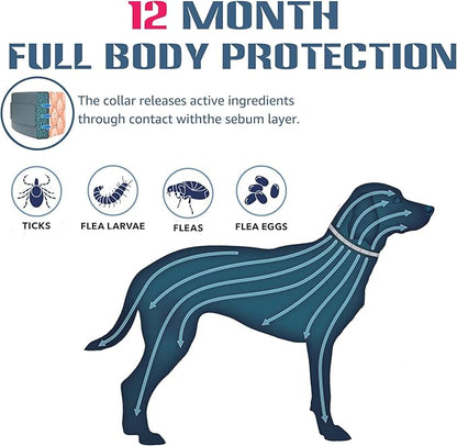 Flea and Tick Collar for Large Dog, 12-Month Full-Body Protection, Natural Ingredients, Free Flea Comb and Tweezers Included, 2 packs