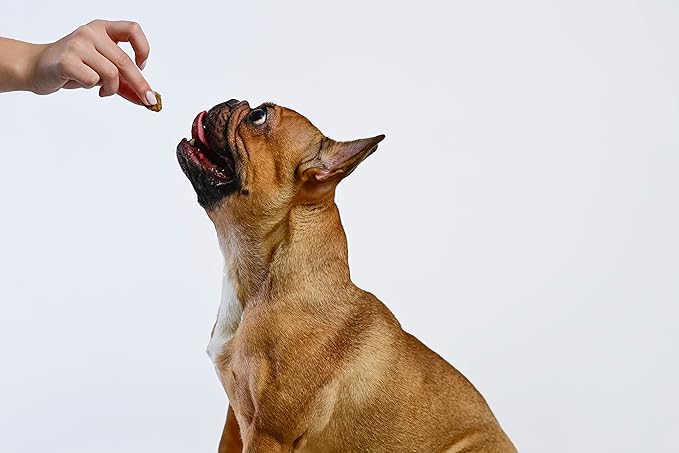 What's Barking Chicken Sweet Potato Soft Chews - Premium Chewy Dog Treats, Glucosamine, Natural Ingredients, No Wheat, Made in USA - 9 oz (Pack of 3)