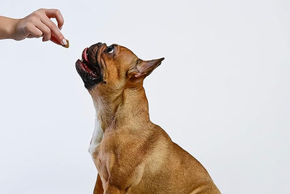 What's Barking Chicken Sweet Potato Soft Chews - Premium Chewy Dog Treats, Glucosamine, Natural Ingredients, No Wheat, Made in USA - 9 oz (Pack of 1)