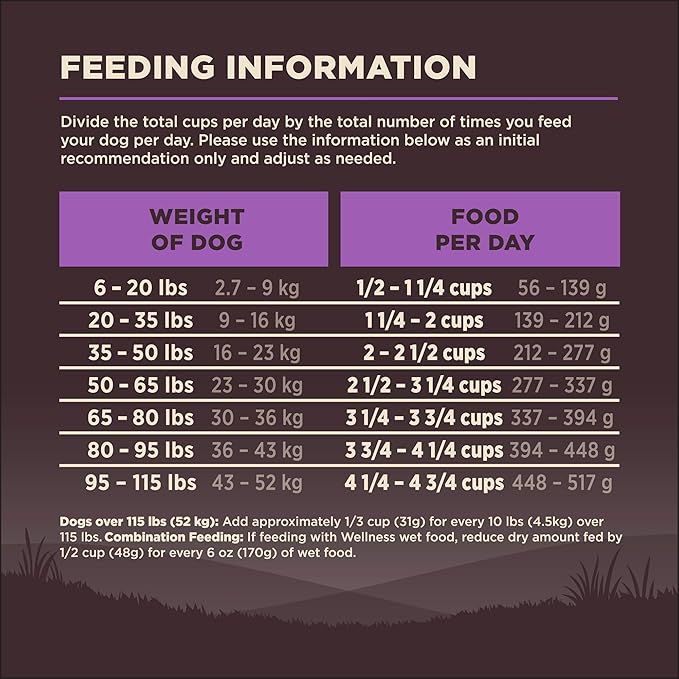 Wellness CORE Grain-Free Senior Dry Dog Food, Made in USA with Real Turkey and Natural Ingredients, With Nutrients for Immune, Joint, Skin & Coat Support, 24-Pound Bag