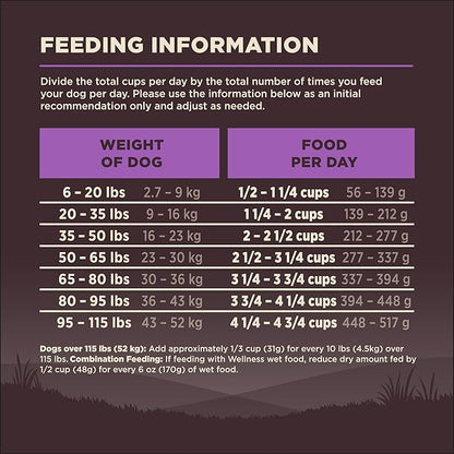 Wellness CORE Grain-Free Senior Dry Dog Food, Made in USA with Real Turkey and Natural Ingredients, With Nutrients for Immune, Joint, Skin & Coat Support, 24-Pound Bag