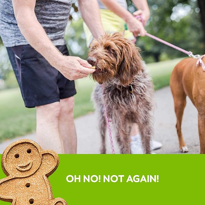 Buddy Biscuits 14 oz Box of Grain-Free Crunchy Dog Treats Made with Natural Roasted Chicken