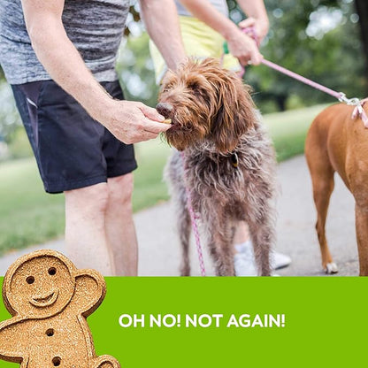 Buddy Biscuits 14 oz Box of Grain-Free Crunchy Dog Treats Made with Natural Roasted Chicken