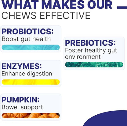 Dog Digestive Support Probiotic Chews for Good Poop - Enzymes, Probiotics, Prebiotics, and Pumpkin for Dogs - Improve Stool Quality and Consistency - Relief from Gas, Constipation, Diarrhea - 120ct