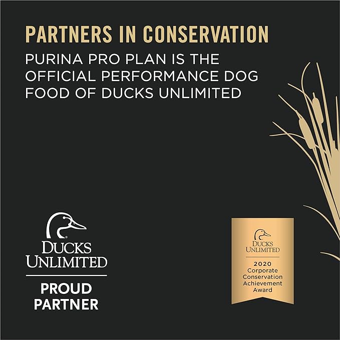 Purina Pro Plan Sport High Protein Beef & Bison Entrée Wet Dog Food - (Pack of 12) 13 oz. Cans