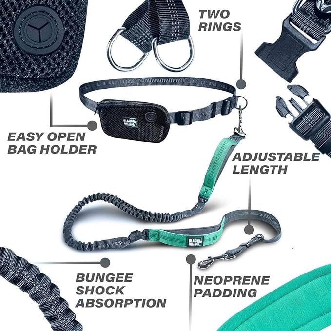 Black Rhino - Premium HANDS FREE DOG LEASH for Running Walking Jogging & Hiking - Adjustable Length Dual Handle Bungee Leash Medium – Large Dogs Neoprene Padded Handles - Running Pouch Included Aqua