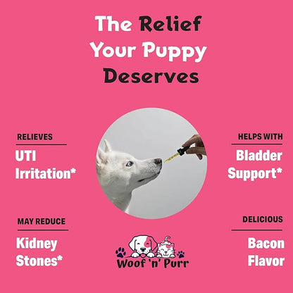 Dog Bladder Supplement - Supports Healthy Kidney & Urinary Tract - Dog UTI Treatment - Dog Bladder Control - Bladder Support for Dogs - Dog UTI Supplement - Dog Urinary Tract Infection Treatment - 1oz