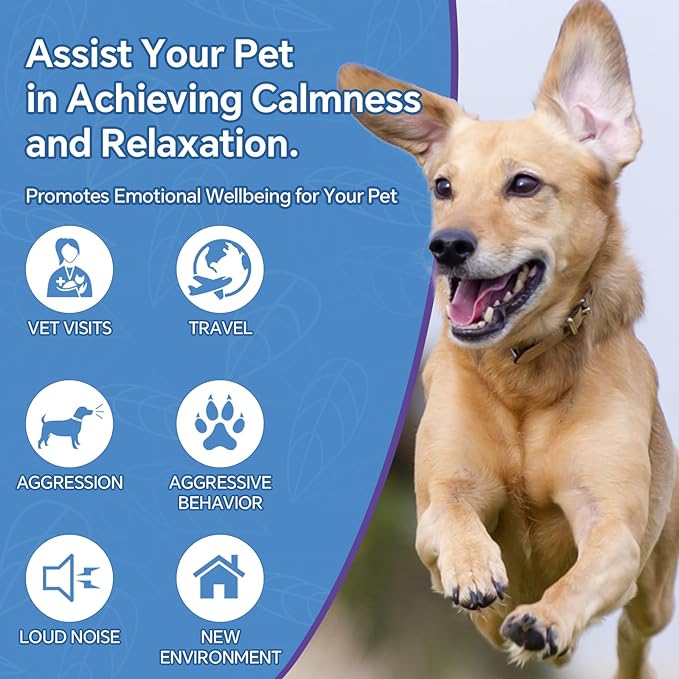 Hemp Oil for Dogs and Cats, rich in Omega 3, 6, 9 and Organic Extract Helps Pets with Anxiety, Pain, Skin and Coat Health, Stress, Hip and Joint Support, Pet's Calming Treat (1 Pack)