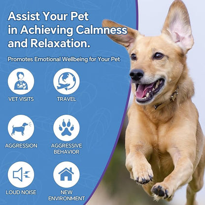 Hemp Oil for Dogs and Cats, rich in Omega 3, 6, 9 and Organic Extract Helps Pets with Anxiety, Pain, Skin and Coat Health, Stress, Hip and Joint Support, Pet's Calming Treat (1 Pack)