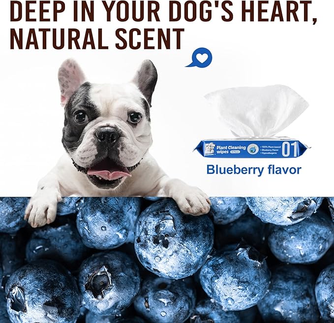 Dog Wipes for Paws and Butt,Pet Wipes for Dogs Hypoallergenic Plant-Based,Dog Cleaning Grooming Wipes,Large Size Dog Wet Bath Wipes,Gentle,Degradable,More Water(50 Count,Blueberry)