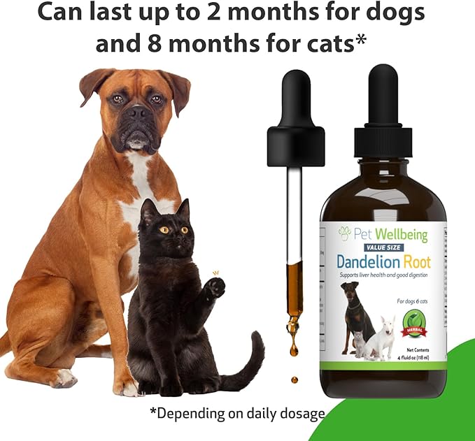 Pet Wellbeing Dandelion Root for Dogs & Cats - Liver, Digestive, Cardiovascular, Blood Sugar Support - Natural Herbal Supplement 4 oz (118 ml)