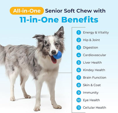 Vetnique Seniorbliss Senior Dog Multivitamin with Glucosamine, Omega 3 Fish Oil, and Probiotics - for Dog Joints, Digestive and Immune Support for Optimal Health (All-in-One Daily Vitamin, 120ct)